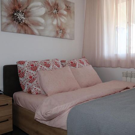 Apartman Mila 21 ベオグラード エクステリア 写真